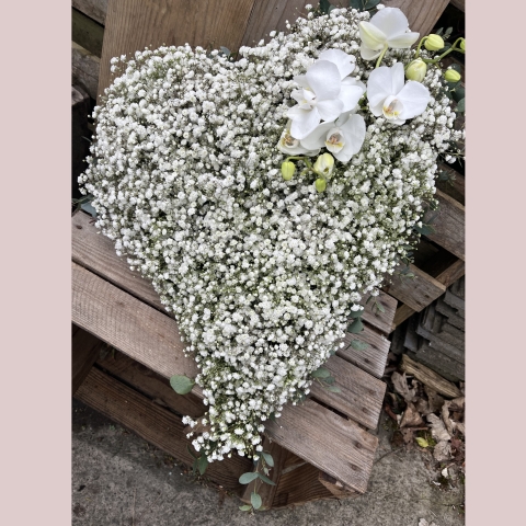 Gypsophilia Heart