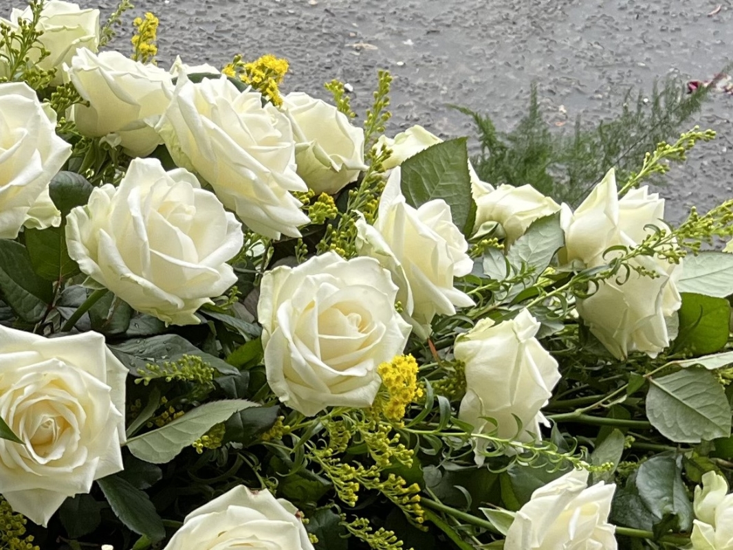 White Rose Coffin Spray