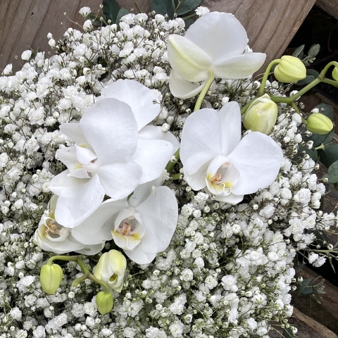 Gypsophilia Heart